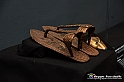 VBS_5104 - Tutankhamon - Viaggio verso l'eternità